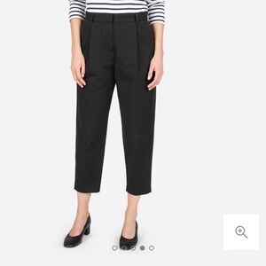 Everlane slouch chino pants in gentle used condition!